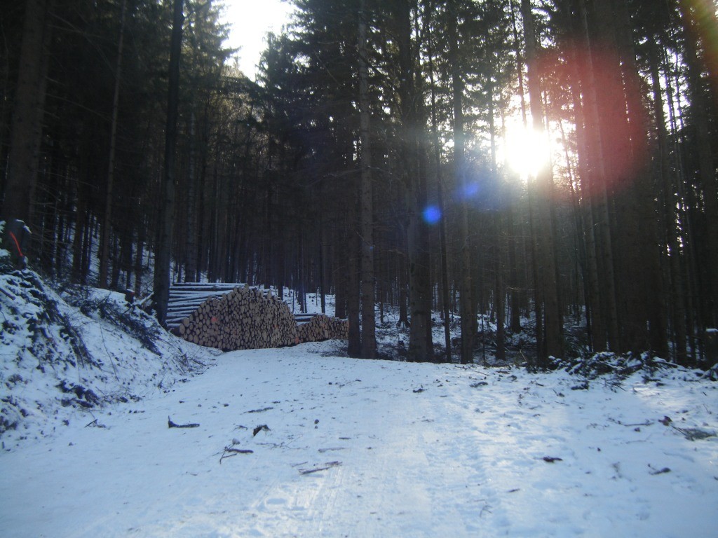 32